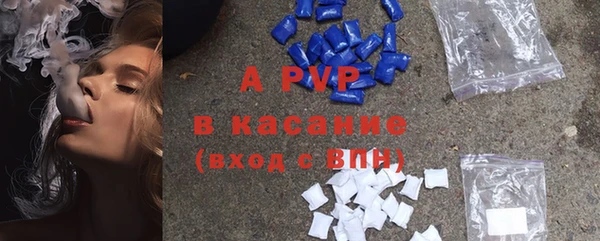 гашик Алексин