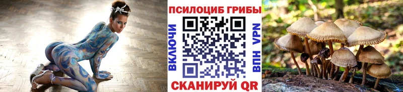 Псилоцибиновые грибы GOLDEN TEACHER  OMG вход  даркнет клад  Барыш 